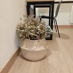 Apartman Vior Y Valdes *